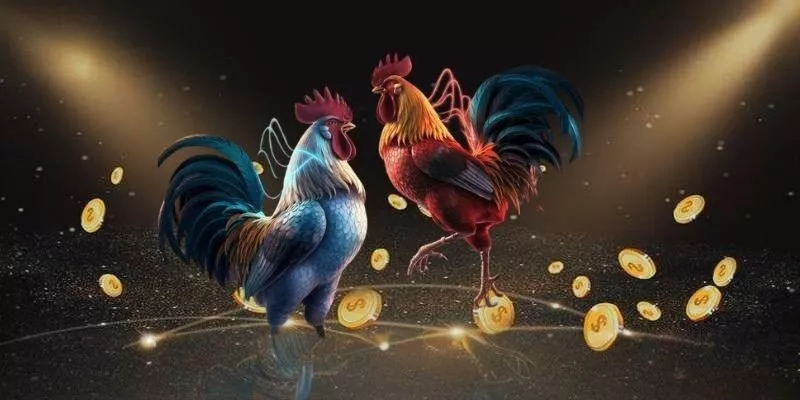 Đá gà ws168 tại MAY88 - Nền tảng giải trí đỉnh cao trong thế giới chọi gà trực tuyến